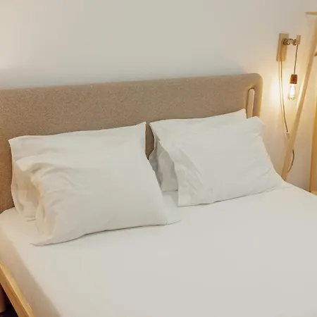 ゲストハウス Aliados Suites By Homing *